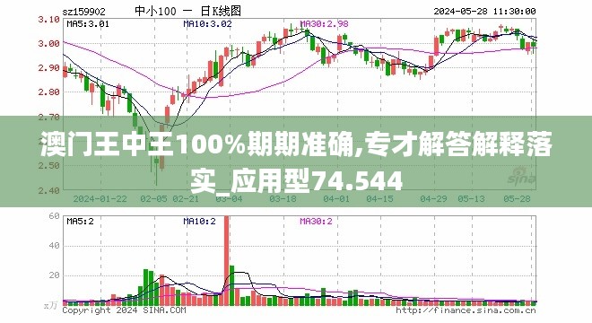 新澳门王中王期期中与释义解释落实——以2024辛为视角的独特解读