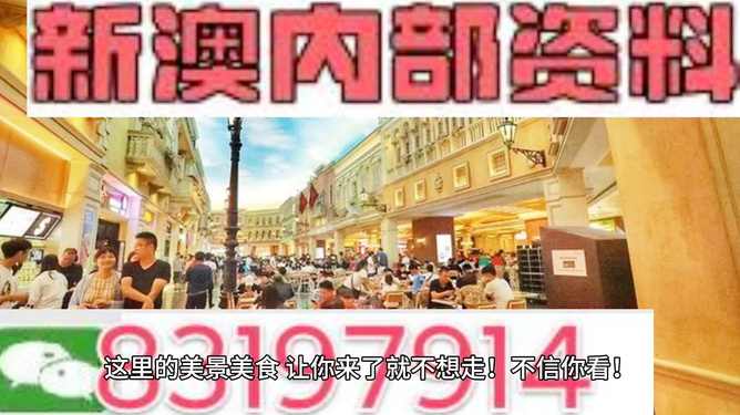 新澳门九点半9点半网站开奖精选解析与落实策略